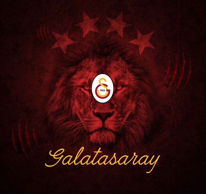 Dekorsan duvar kağıdı uygulaması — örnek 6